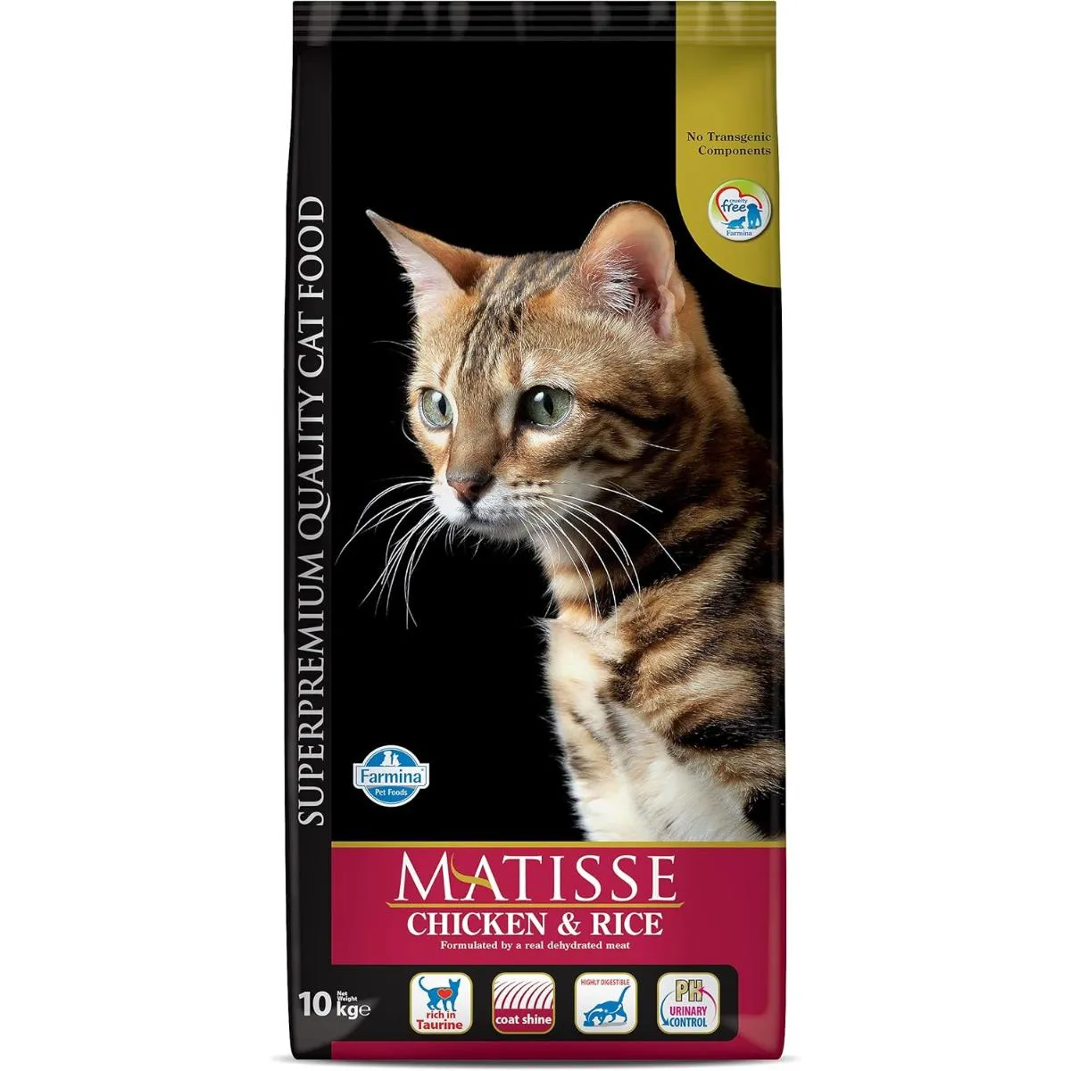 Gatto felice che mangia cibo Matisse